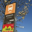 마이산 | [REVIEW] 전주에서 마이산 가는 법 / 등산 후기