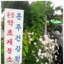 연세건강원 - 서산시 율지8로 9 | 연세건강원