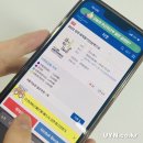 풍삼아