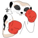 조이핏 복싱 짐 이미지