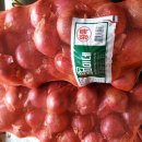 양파상회 이미지