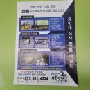 케이 용인대 태권도장 이미지