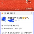 개귀여워 이미지