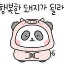 설맥 괴정점