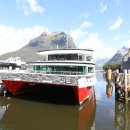 2025년11월11일 뉴질랜드 밀포드 사운드 유람선 풍경 이미지