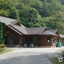 국립미천골자연휴양림 이미지