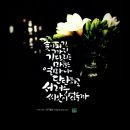 감성공감 캘리그라피 이미지