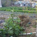 일심 공인중개사 사무소 이미지