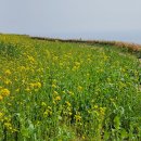 남해-251 이미지