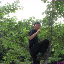 대이리마을회관 이미지