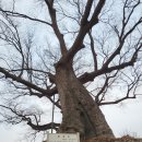 경기둘레길 김포3코스 이미지