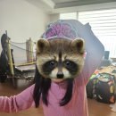 컬리수 | [육아]6세, 7세 여아 남아 유치원 등원룩|등원복|외출복