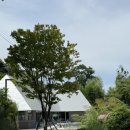 수상목장 | 양산 카페 추천 | 세계 건축상 수상 양산 성림목장