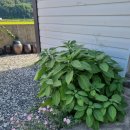 남해소담 이미지