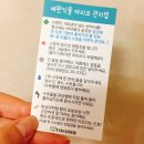 무지개슬라임