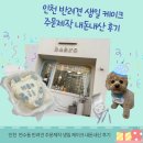 함박뫼로 | 인천 연수동 반려견 주문제작 생일 케이크 내돈내산 후기 [babro,수제간식]