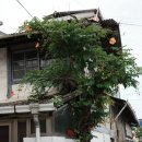 맘스터치 자인점 이미지