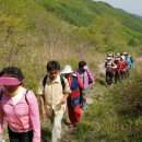 초록세상 이미지