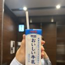 크크크 인형뽑기 | [5.12-15] 엄마아들과 맛따라멋따라 후쿠오카 자유여행-5 ✈️🍥🍺