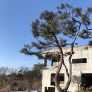 펜션클라우드 네이버블로그
