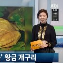 황금개구리