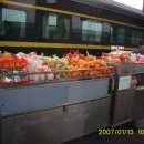 열차와 하루 이미지