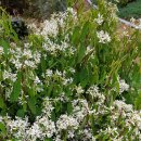 메이폴하우스 이미지