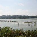 고삼호수로 이미지