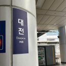 둔산중로-48 | 유잼도시 대전(전편)