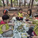 원암어린이집 이미지