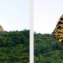 범바위민박 이미지