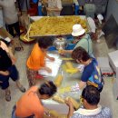 모태영농조합법인 이미지