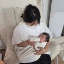 어느덧 임신후기 33w, 너무 힘들지만 나름 행복하고 소소한 요즘 근황 일기