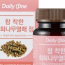 열매정