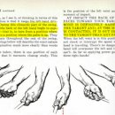 벤호건 스크린골프 이미지