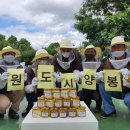 수원푸드뱅크 이미지