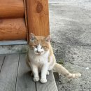 휴드라이브인텔 이미지