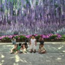 킹콩키즈풀빌라 | 아기랑 즐기는 가평 1박2일: 효정연·베고니아·킹콩 키즈풀빌라 후기