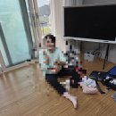 외간정글돔하우스 이미지