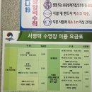 서평택국민체육센터 수영장 이미지