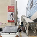 허동물병원 | 석이네정육점 | 대구 수성구 수성시장 정육점, 한우 새우등심 육회 구매후기