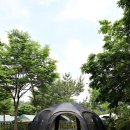 팝업 원터치 텐트 캠핑 쉘터 미르카 림피드 루나 후기