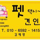 해운대 펫택시 이미지