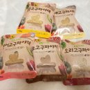 마드레펫 이미지