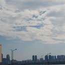 구 용산 수위관측소 이미지