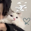 양희농장 이미지