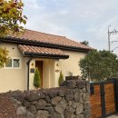 스테이장유7 이미지