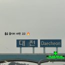 대천 | 대천 맛집 [조까남] 솔직후기 불금 즐기기 🔥