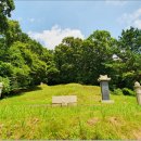 용천(안산) | 안산-한성부좌윤 나홍좌(羅弘佐),나명좌(羅明佐),상우당 나석좌(尙友堂 羅碩佐)