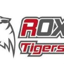 월드타이거즈 이미지